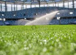 连战告捷,今夜焦点对,国米与那不,澳门威尼斯人赌场网址,澳门威尼斯人赌场网址入口,澳门威尼斯人赌场网址官方入口,澳门威尼斯人赌场网址官方网址